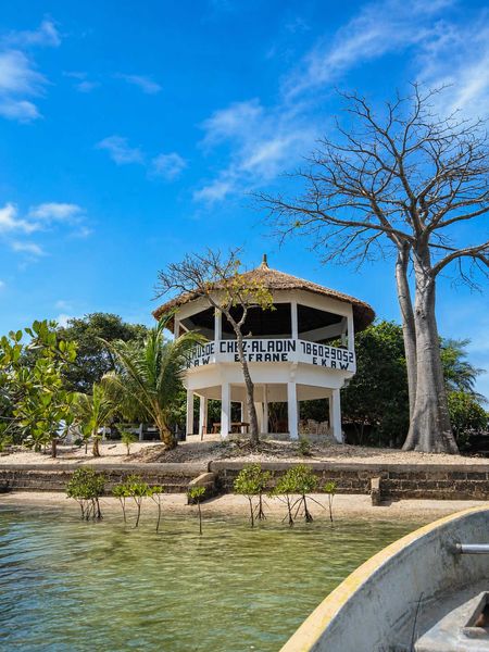 Casa Crusoë, mangroves Casamance