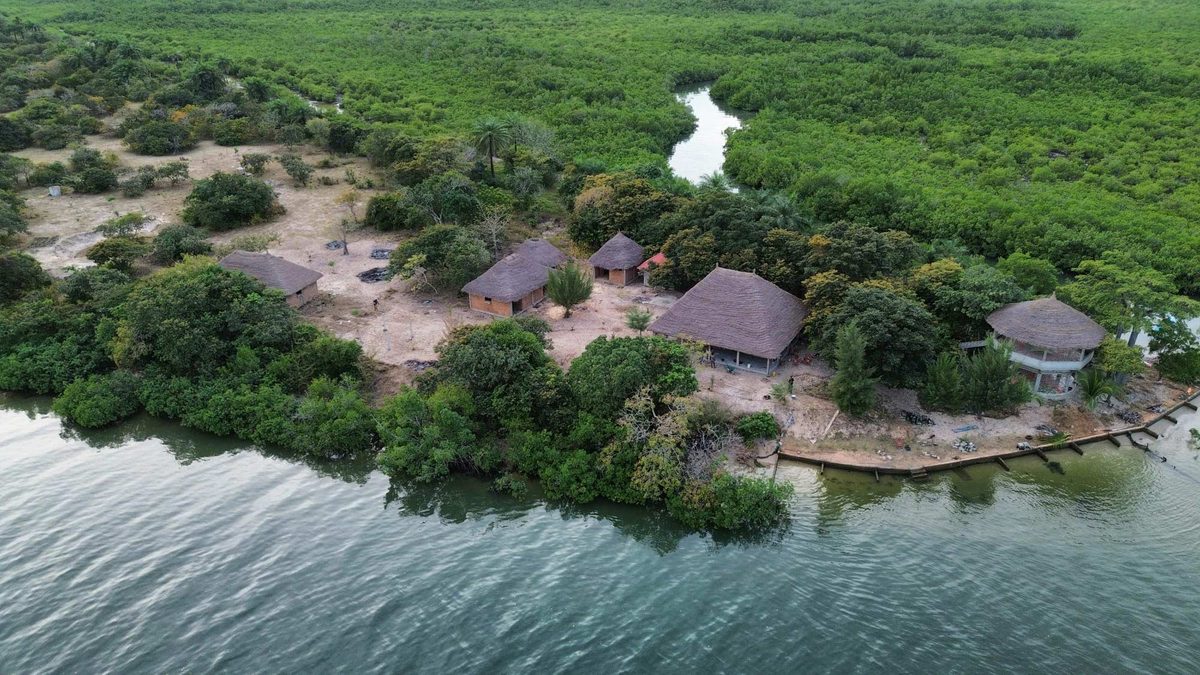 Vue aérienne île d'Efrane, bolongs et mangroves Casamance