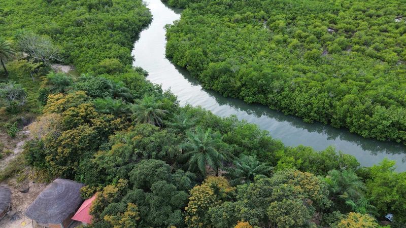 Vue aérienne île d'Efrane et mangroves, Casa Crusoë