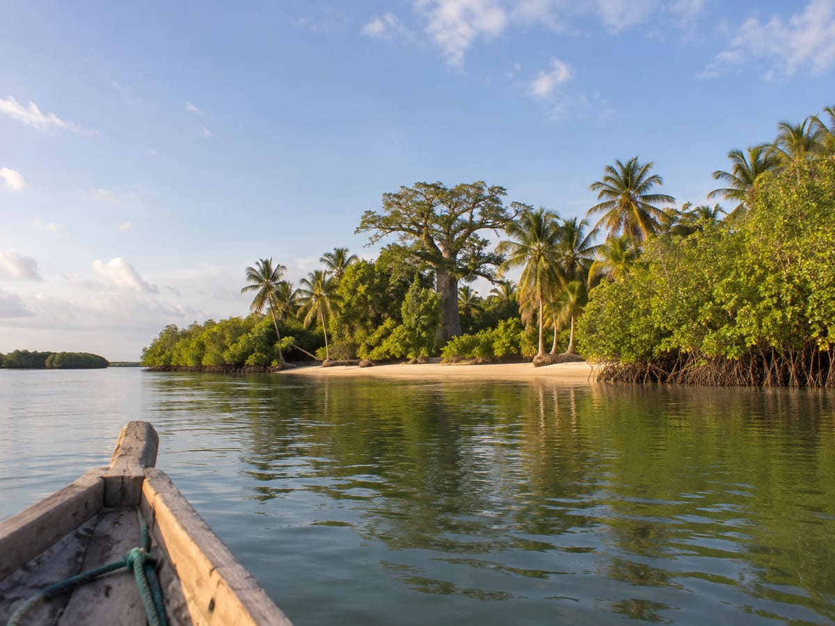 Illustration : arrivée en pirogue devant une plage bordée de mangrove, de palmiers et d'un baobab, île d'Efrane