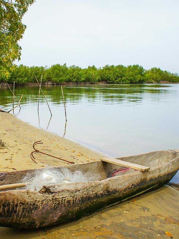Rive de bolong bordée de mangrove en Casamance