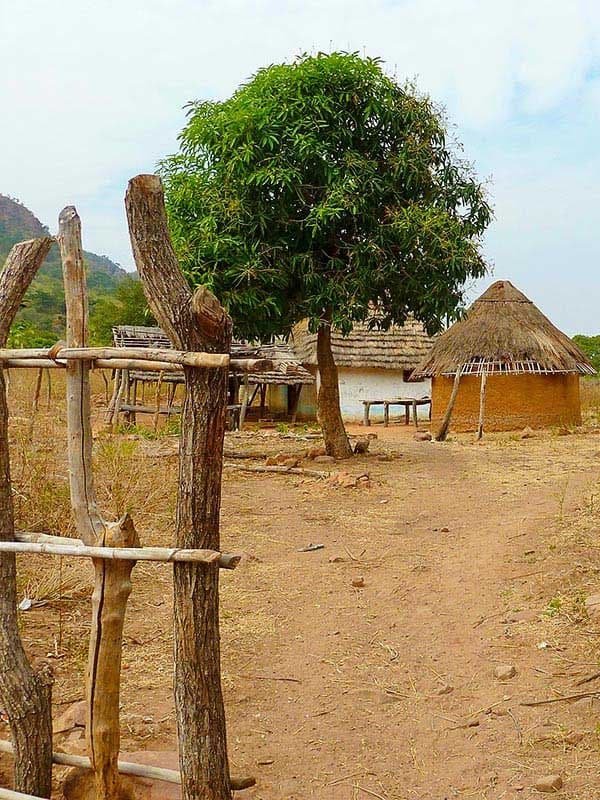 Cases en terre et toits de chaume dans un village de Casamance
