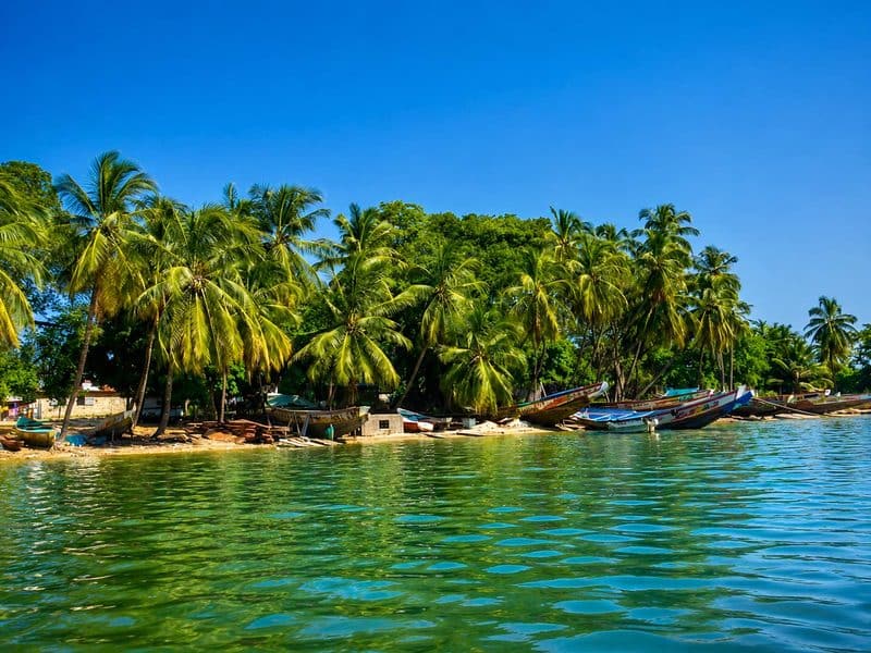 Pêche en Casamance : sorties et espèces depuis Elinkine