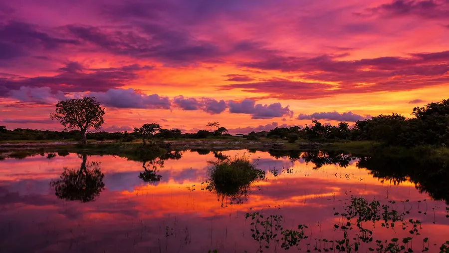Quelle est la meilleure période pour visiter la Casamance ?