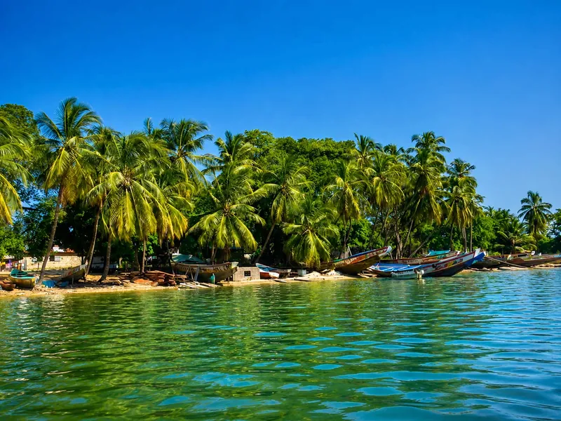 La pêche en Casamance : au cœur d'une région de pêcheurs