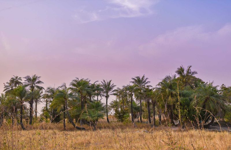 Coucher de soleil en Casamance